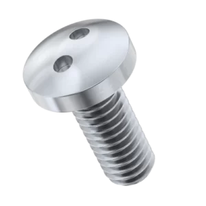 Tamper proof bolts